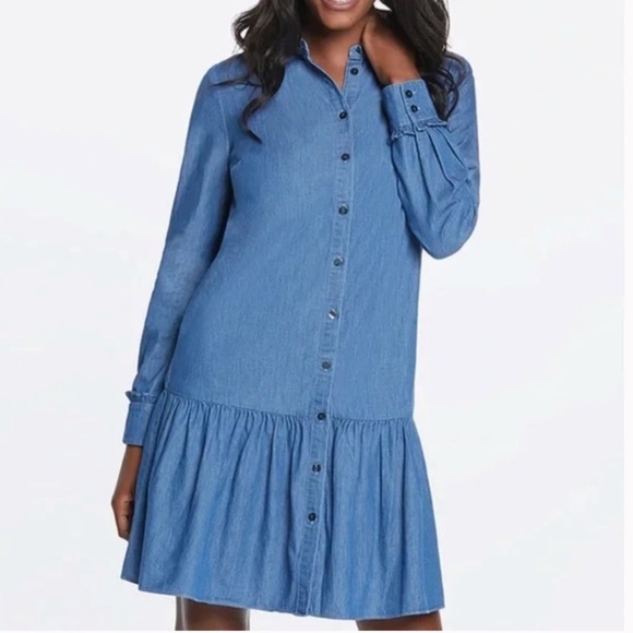 Draper James Women's Chambray Drop Waist Ruffle Long Sleeve Shirt Dress Size 10 - Picture 1 of 8